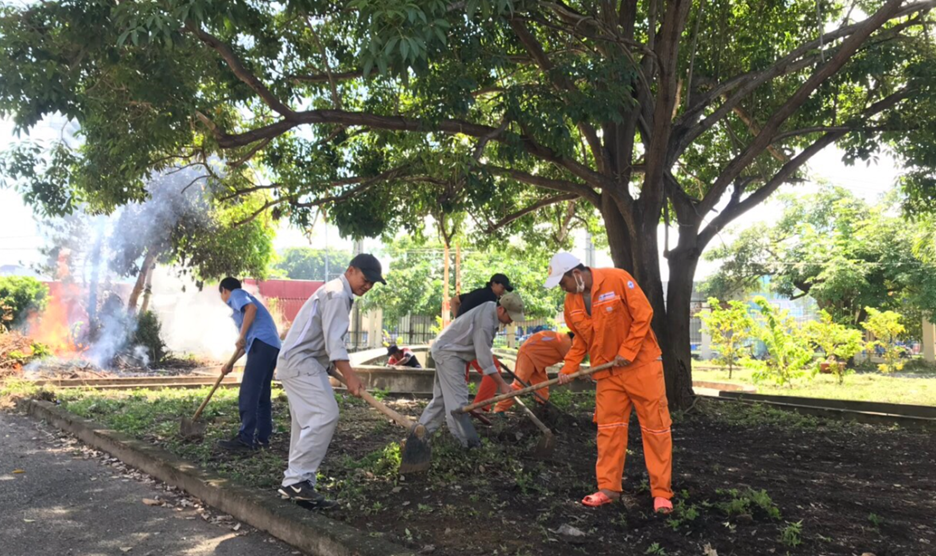 Đoàn Thanh niên Công ty Thủy điện Đại Ninh Tổ chức hưởng ứng phong trào Xanh - Sạch - Đẹp – An toàn tại nơi làm việc