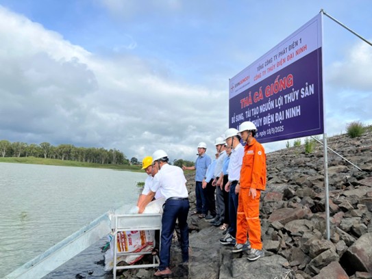 THẢ CÁ GIỐNG BỔ SUNG, TÁI TẠO NGUỒN LỢI THỦY SẢN LÒNG HỒ THỦY ĐIỆN ĐẠI NINH NĂM 2025